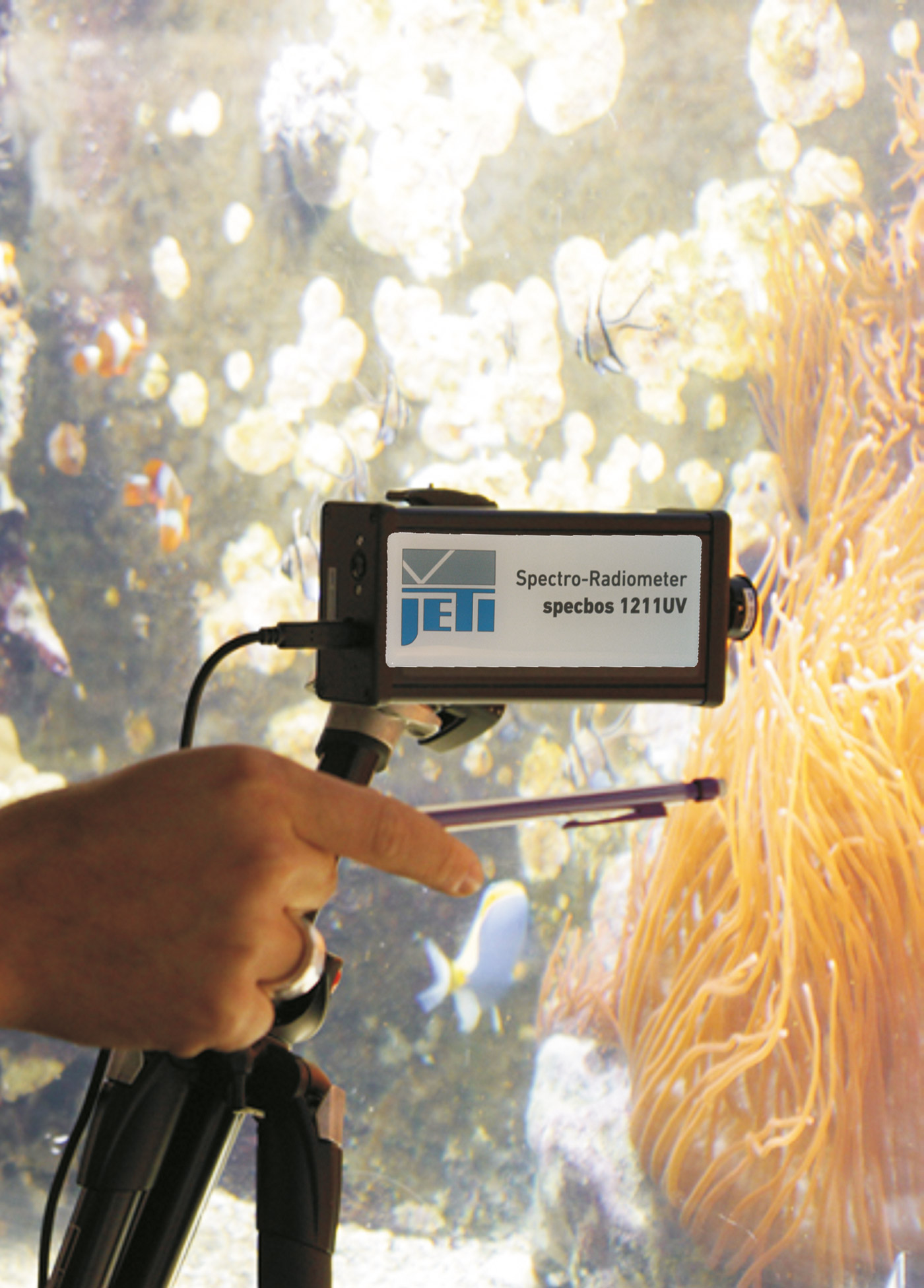 JETI specbos 1211-UV-2: UV measurement in an aquarium