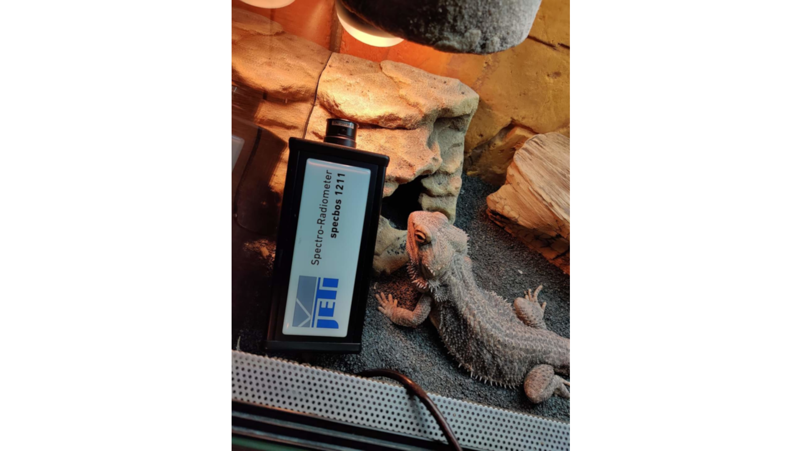 JETI specbos 1211-UV-2: Measurement in a terrarium. Credit: SkalibrujTV.pl