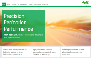 NipponSeiki300